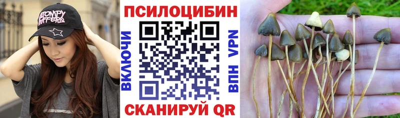 Галлюциногенные грибы MAGIC MUSHROOMS  где можно купить наркотик  МЕГА сайт  Краснозаводск 