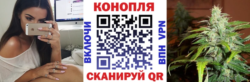 купить   Краснозаводск  Бошки марихуана Ganja 